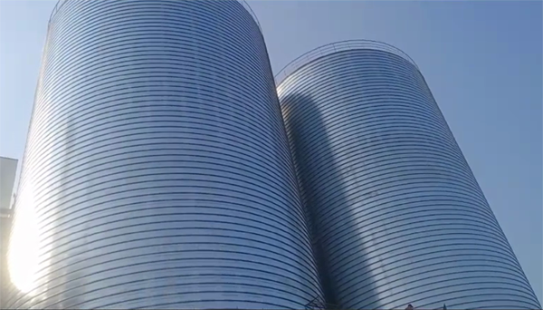 宣汉2座混凝土高架卷板仓